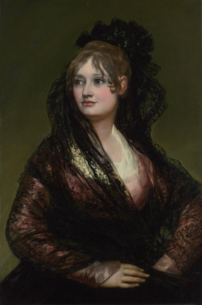 Detail of Portrait of Doña Isabel de Porcel, before 1805 by Francisco de Goya