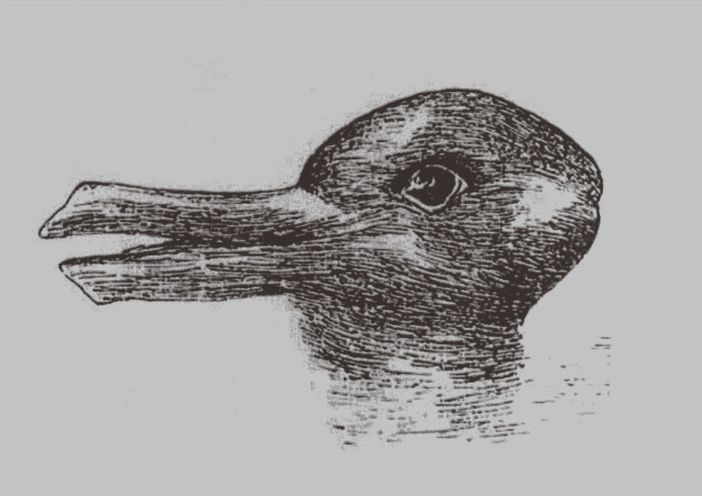 Detail of Duck-Rabbit illusion. From: Jastrow, J. The minds eye. Popular Science Monthly, 1899 by Joseph Jastrow