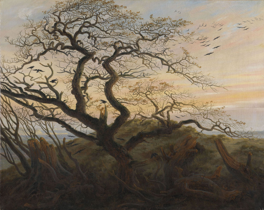 Detail of The Tree of Crows by Caspar David Friedrich