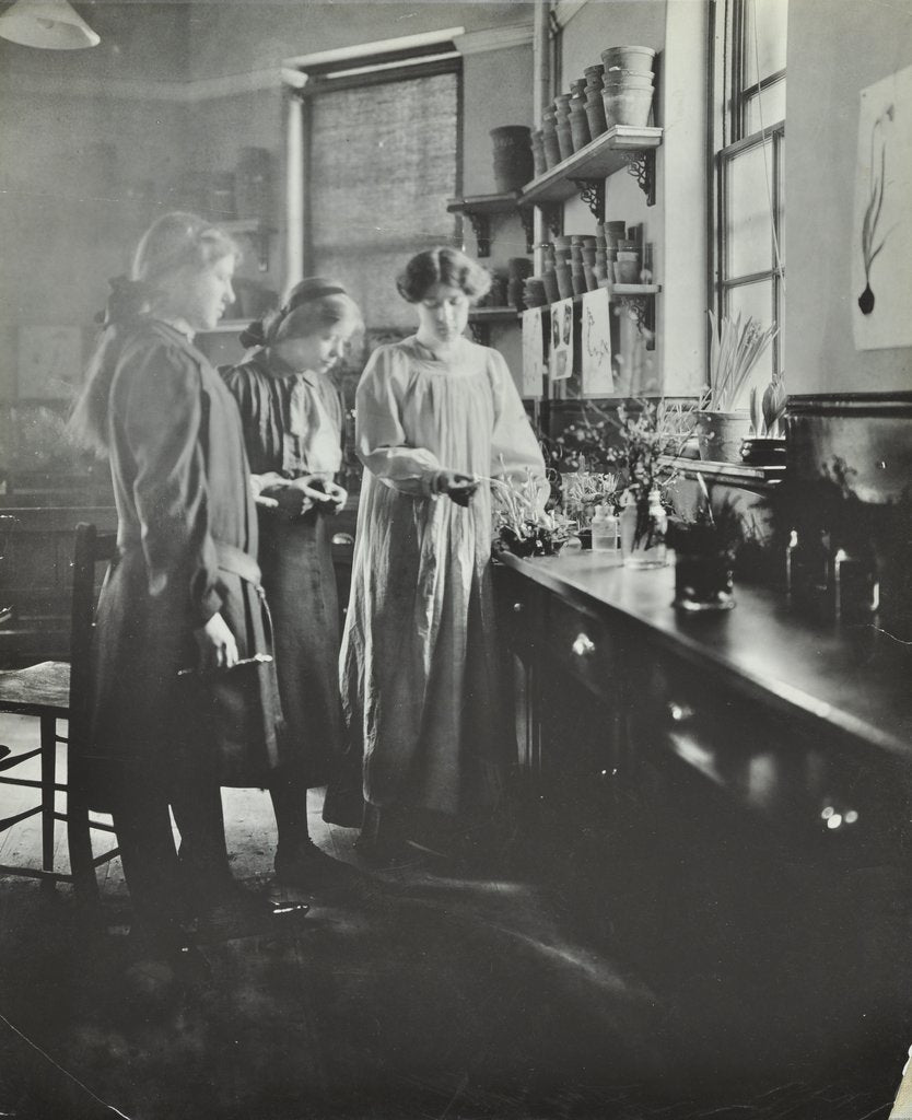 Detail of Botany lesson, Chelsea Secondary School (Hortensia Road School), London, 1911 by Unknown