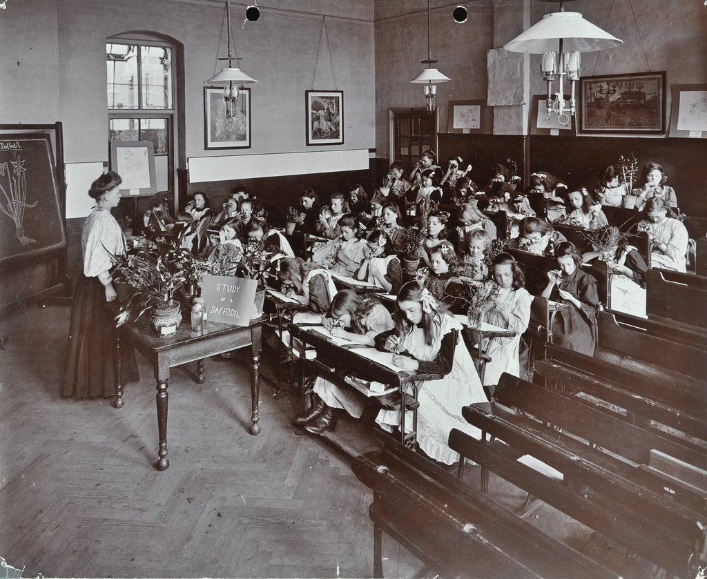 Detail of Nature lesson, Albion Street Girls School, Rotherhithe, London, 1908 by Unknown