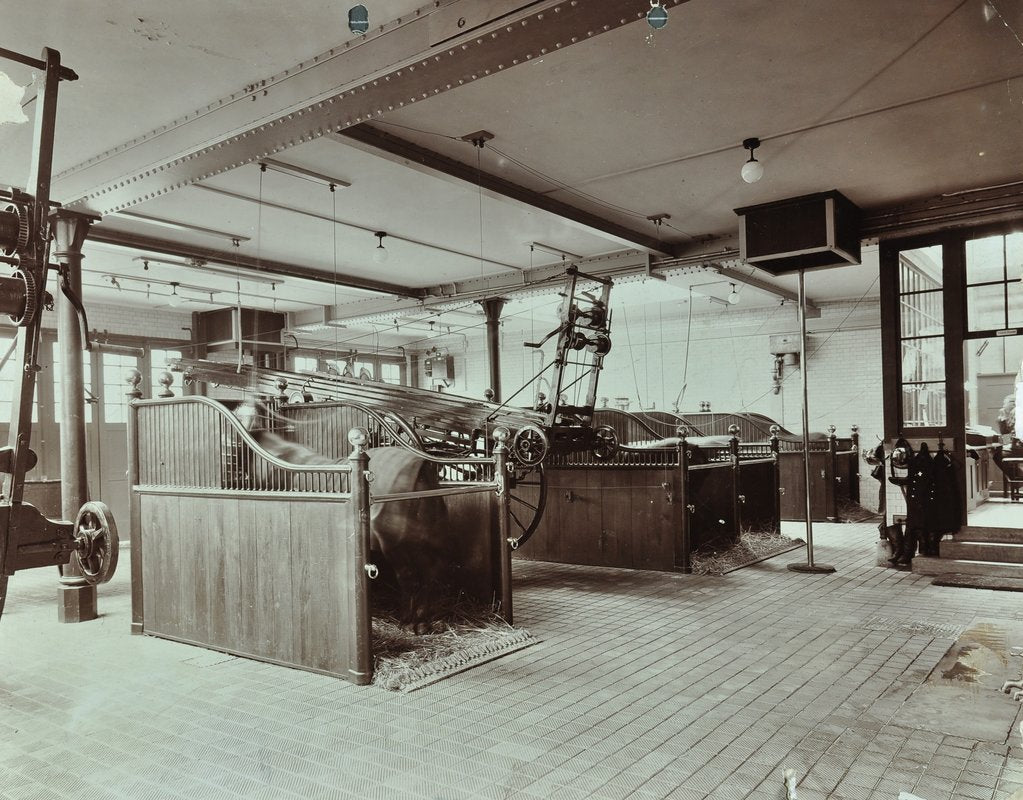 Detail of Kensington Fire Station, No 13 Old Court Place, Kensington, London, 1905 by Unknown