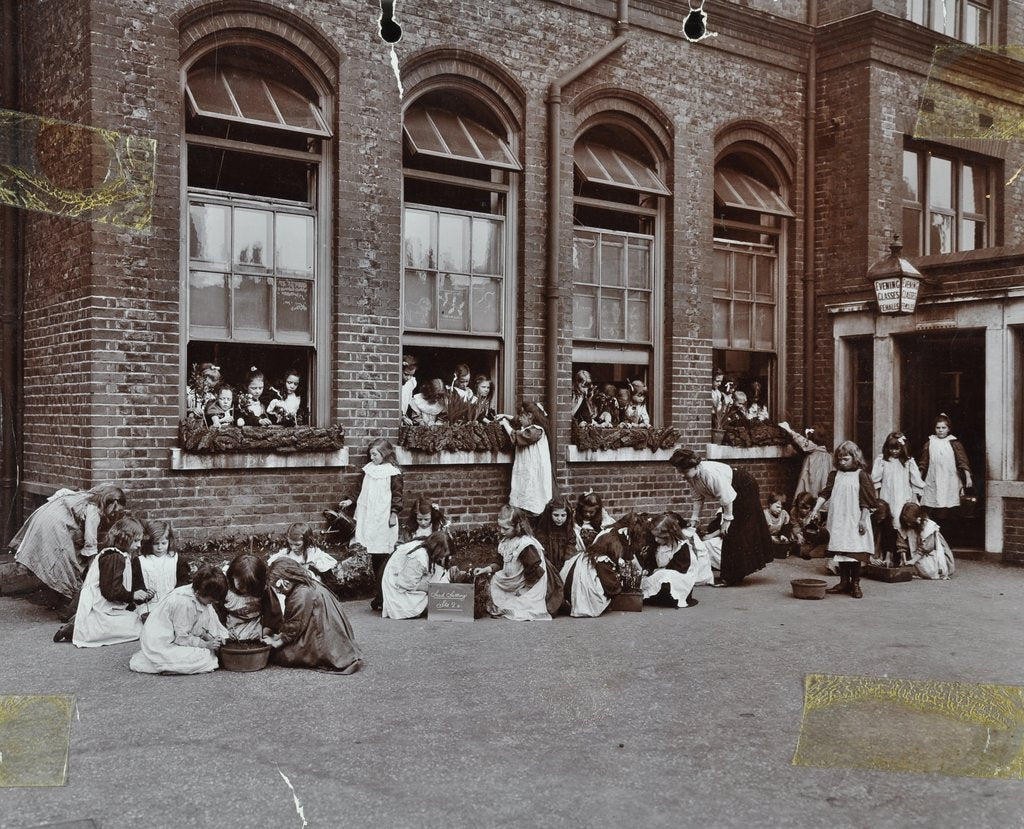 Detail of Nature class in the playground, Albion Street Girls School, Rotherhithe, London, 1908 by Unknown