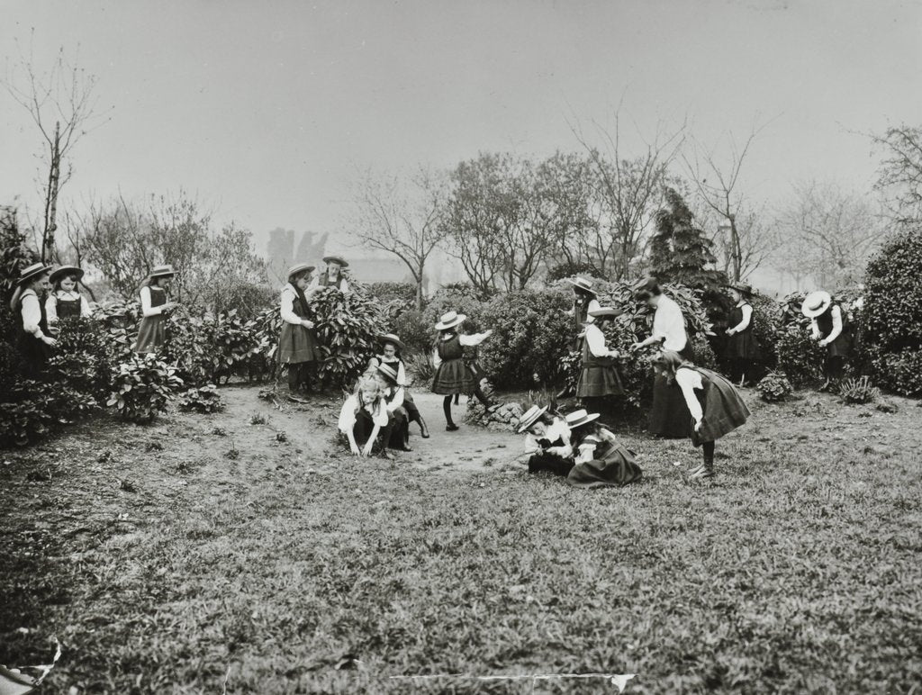 Detail of A class from Fulham County Secondary School having a nature lesson, London, 1908 by Unknown