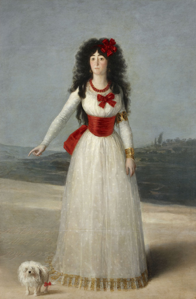 Detail of Portrait of María Cayetana de Silva, 13th Duchess of Alba, 1795 by Francisco de Goya