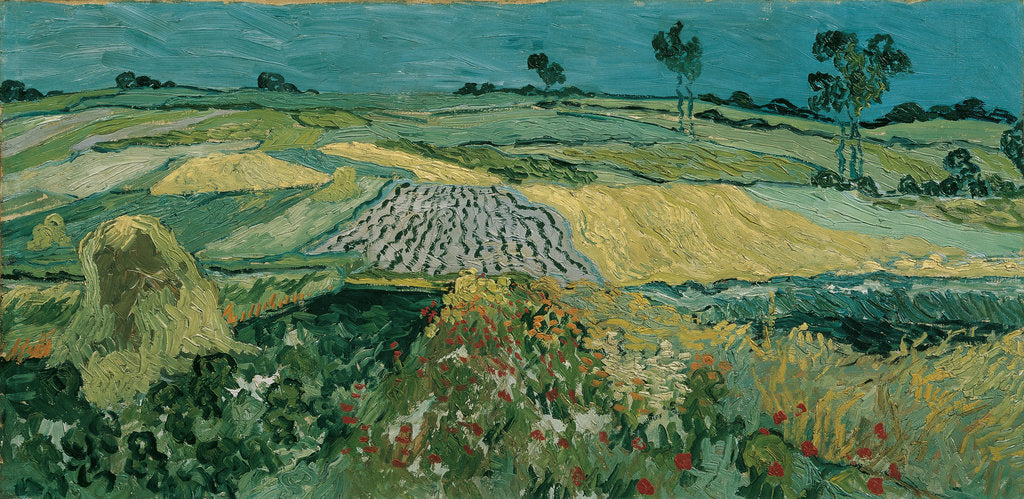 Detail of The Plain of Auvers, 1890 by Vincent van Gogh