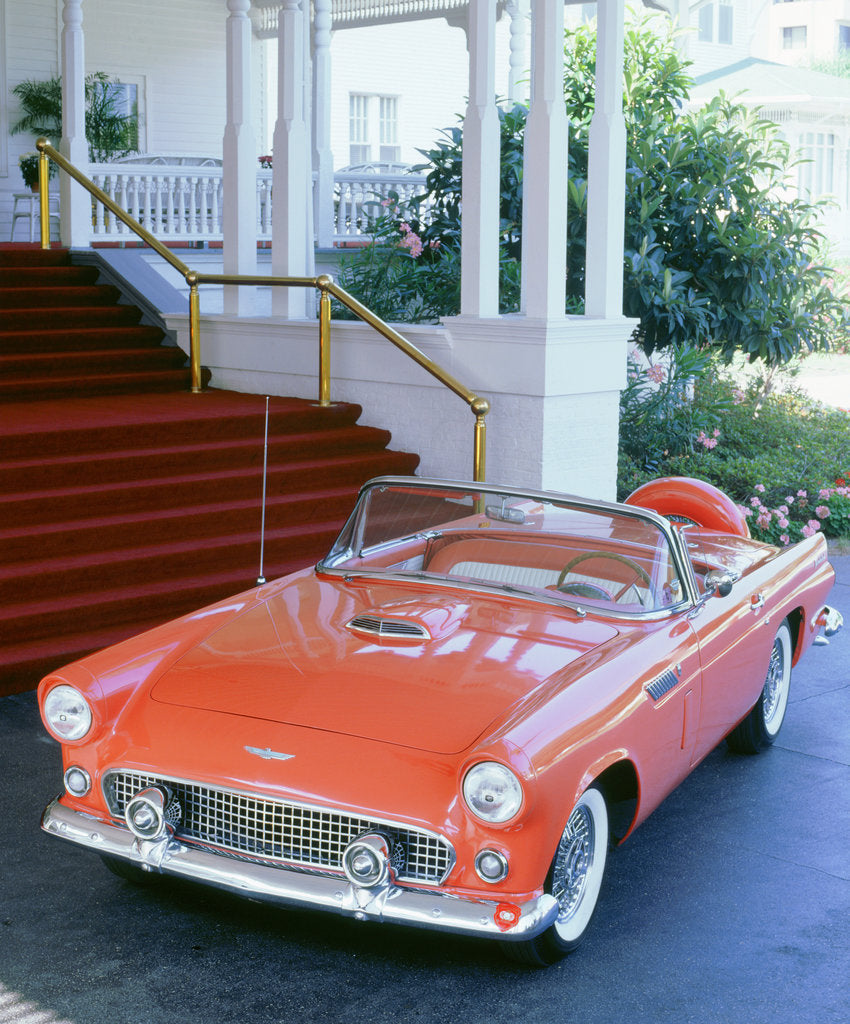 Detail of 1956 Ford Thunderbird by Unknown