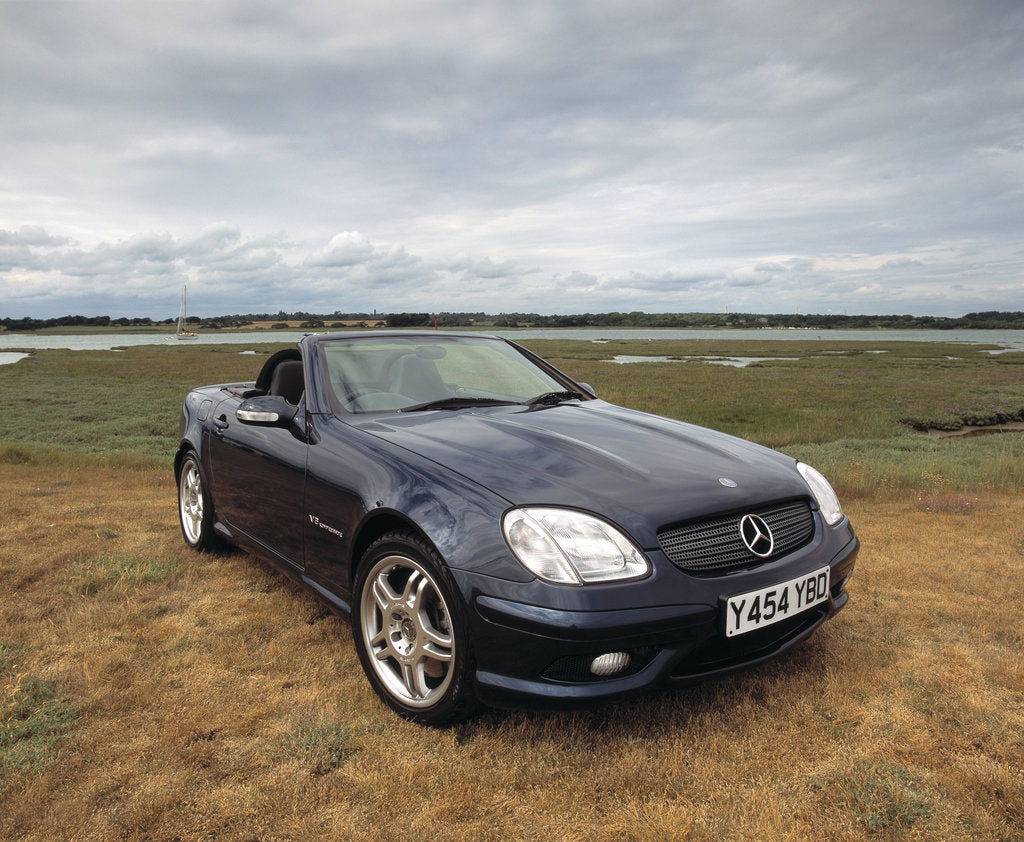 Detail of 2001 Mercedes Benz SLK 320 AMG by Unknown