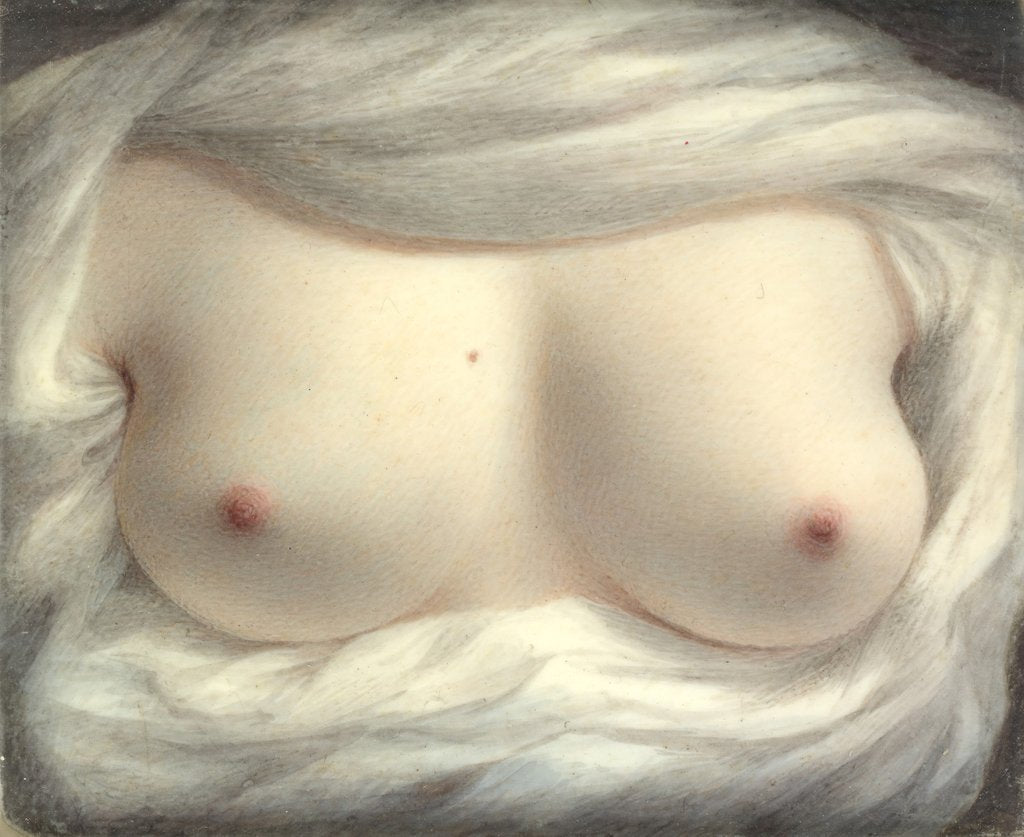 Detail of Beauty Revealed, 1828 by Sarah Goodridge