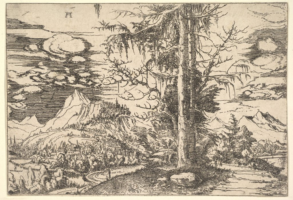 Detail of Landscape with a Double Spruce, ca. 1521-22 by Albrecht Altdorfer