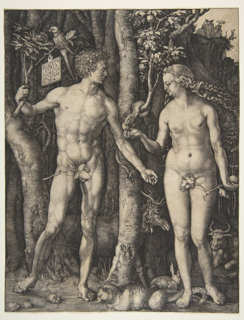 Detail of Adam and Eve, 1504 by Albrecht Dürer