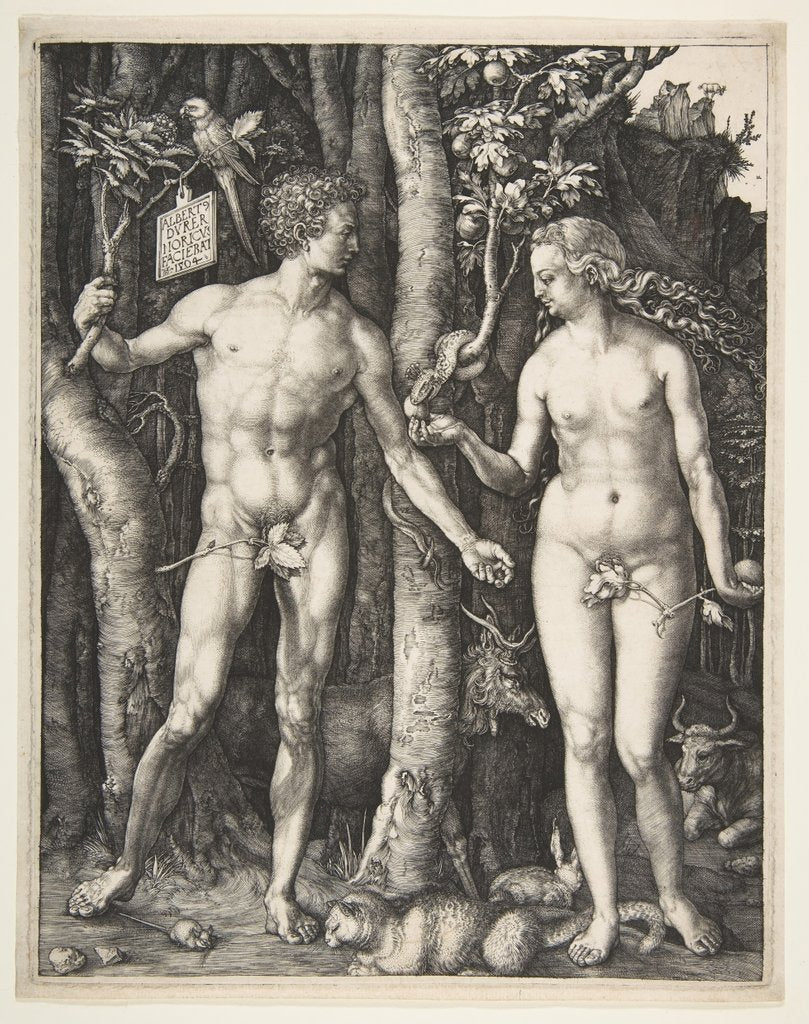 Detail of Adam and Eve, 1504 by Albrecht Dürer