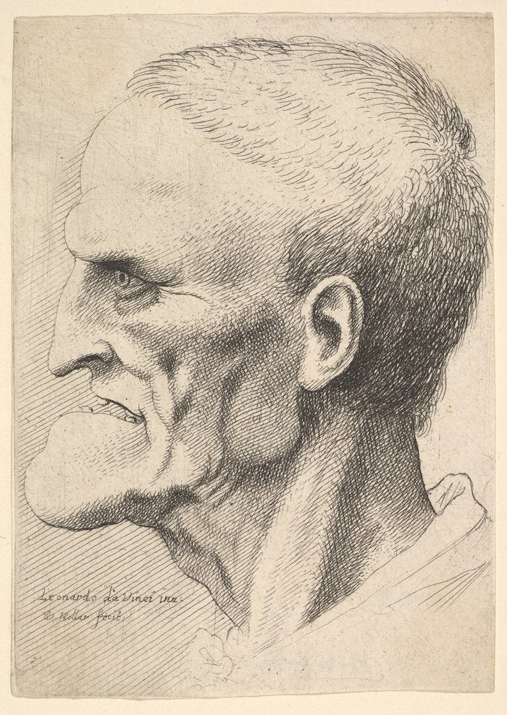 Detail of Head of an old man with a pronounced chin, short cropped hair and gaping mouth showing …, 1625-77 by Wenceslaus Hollar