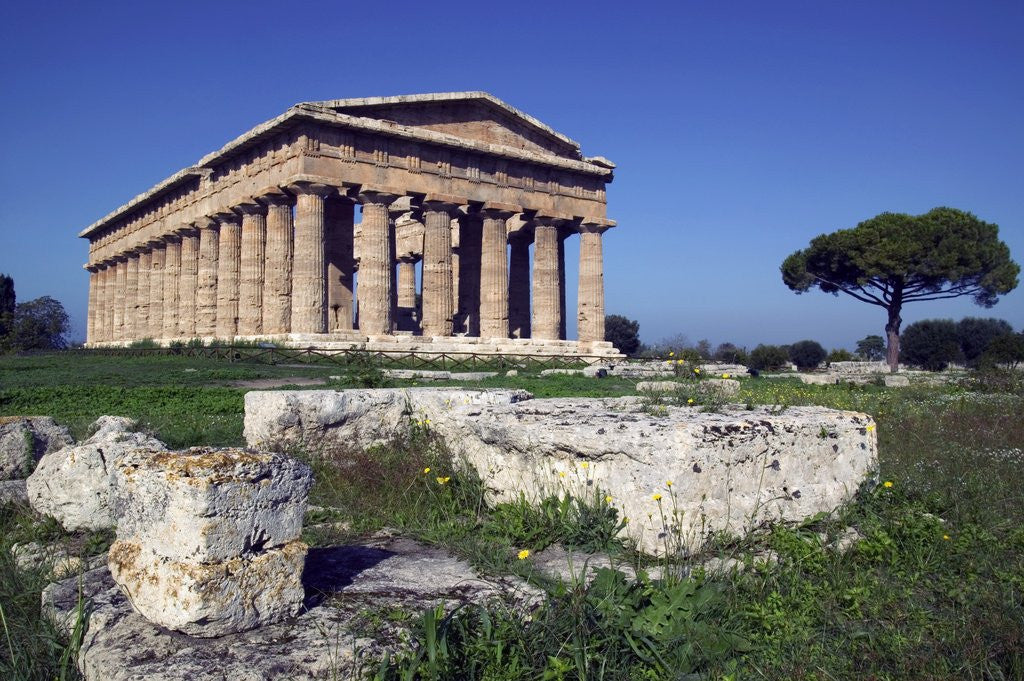 Detail of Ruins of the Temple of Neptune by Corbis