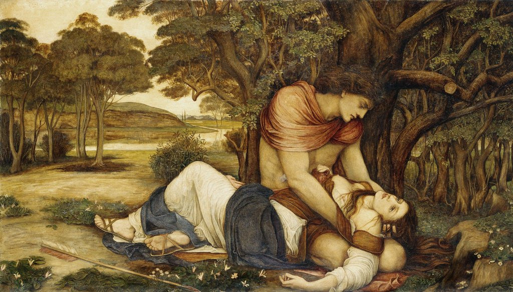 Detail of Procris and Cephalus by Corbis