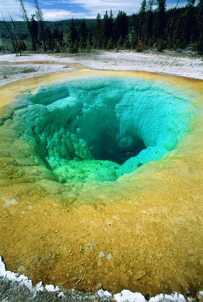 Detail of Morning Glory Pool, Yellowstone National Park, Wyoming by Corbis