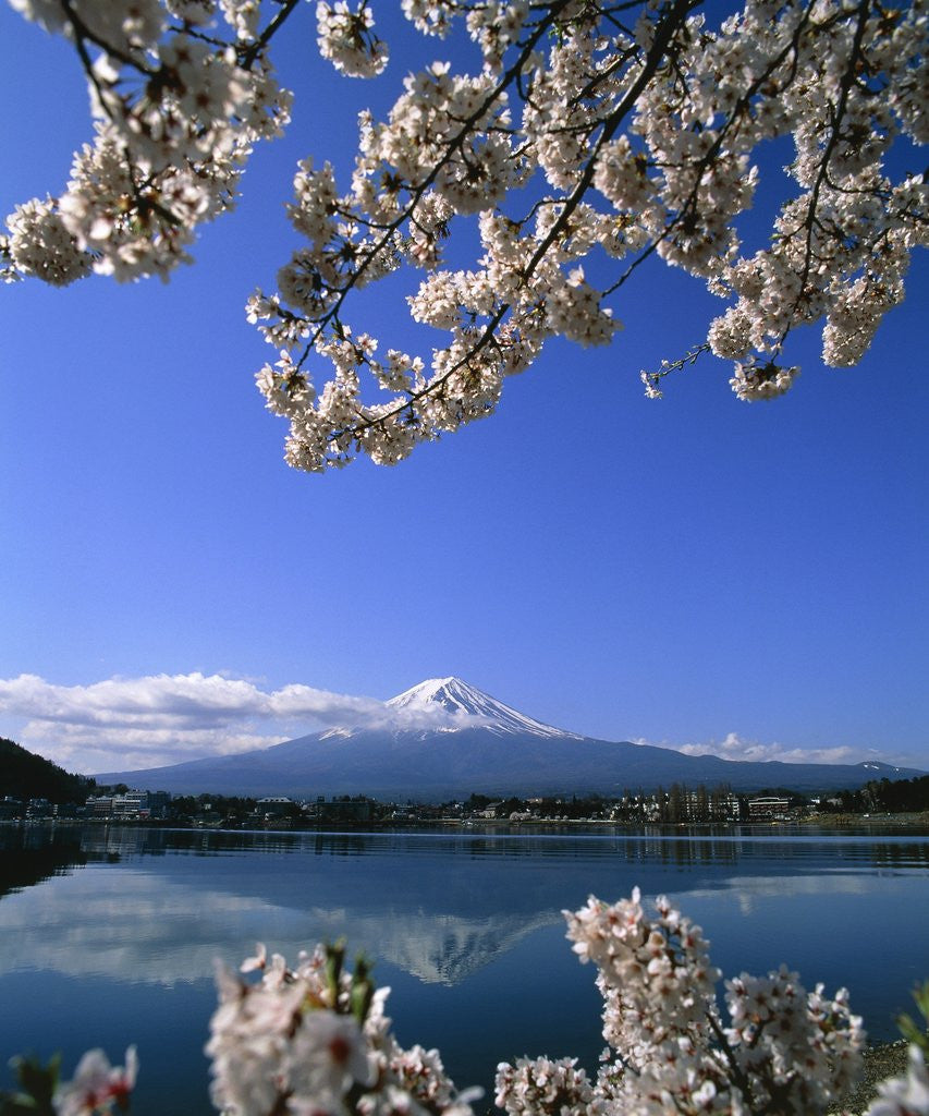 Detail of Japan: Mount Fuji and Lake Kawaguchi by Corbis