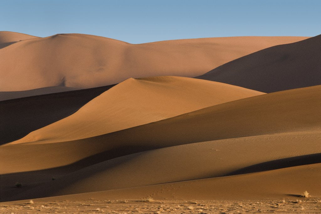 Detail of View of sand dunes in a desert by Corbis