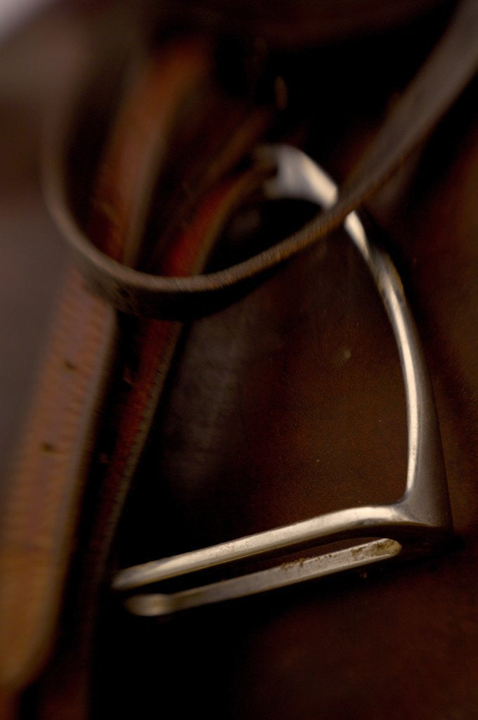 Detail of Stirrup by Corbis