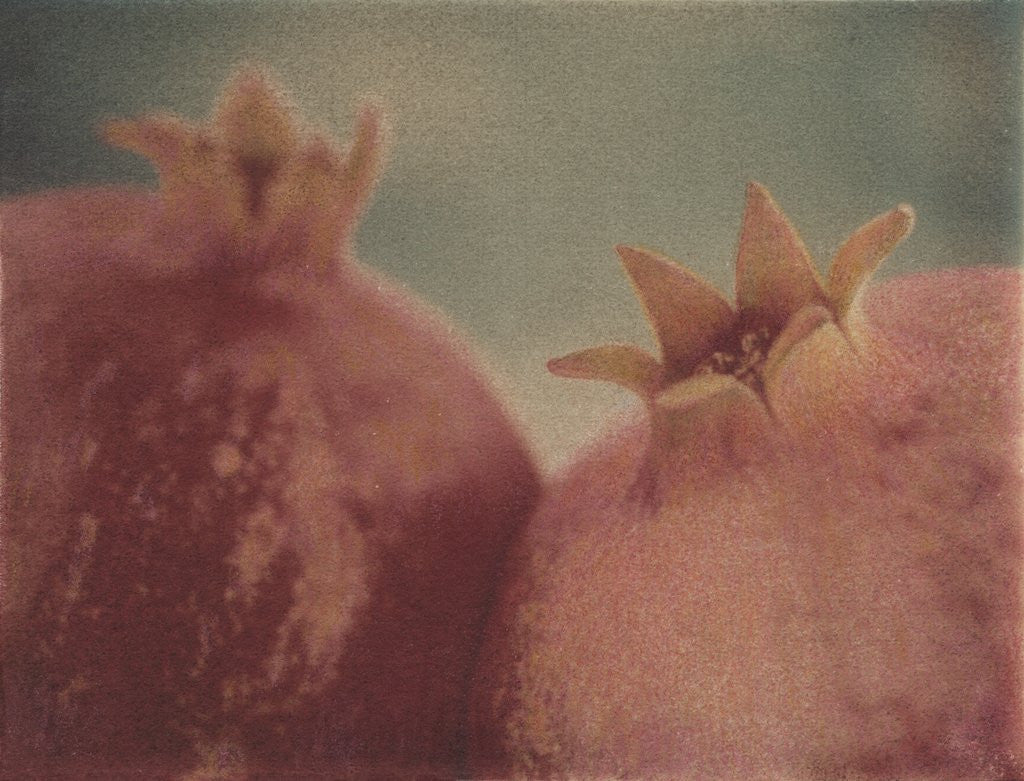 Detail of Pomegranates by Jennifer Kennard