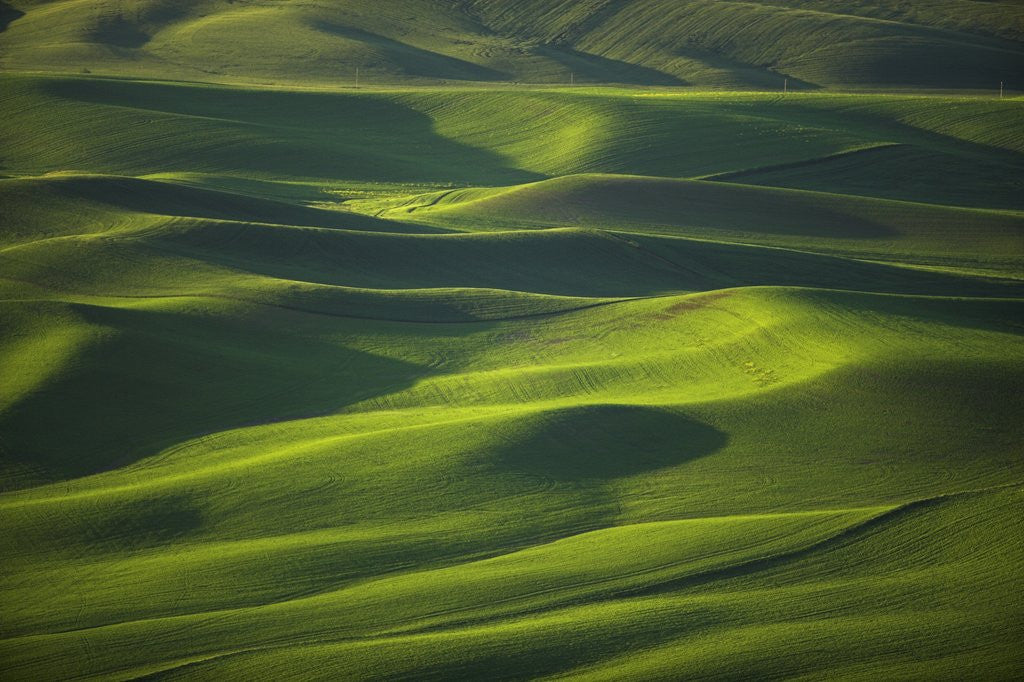 Detail of Hilly Landscape by Corbis