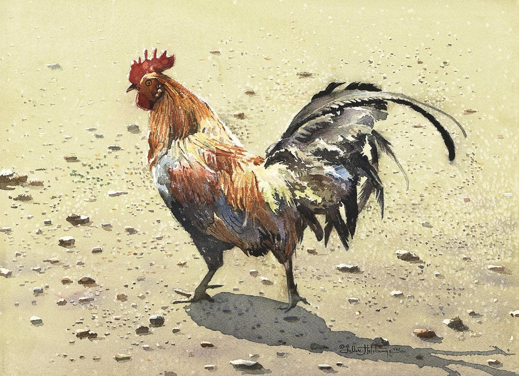 Detail of Banty Rooster by LaVere Hutchings