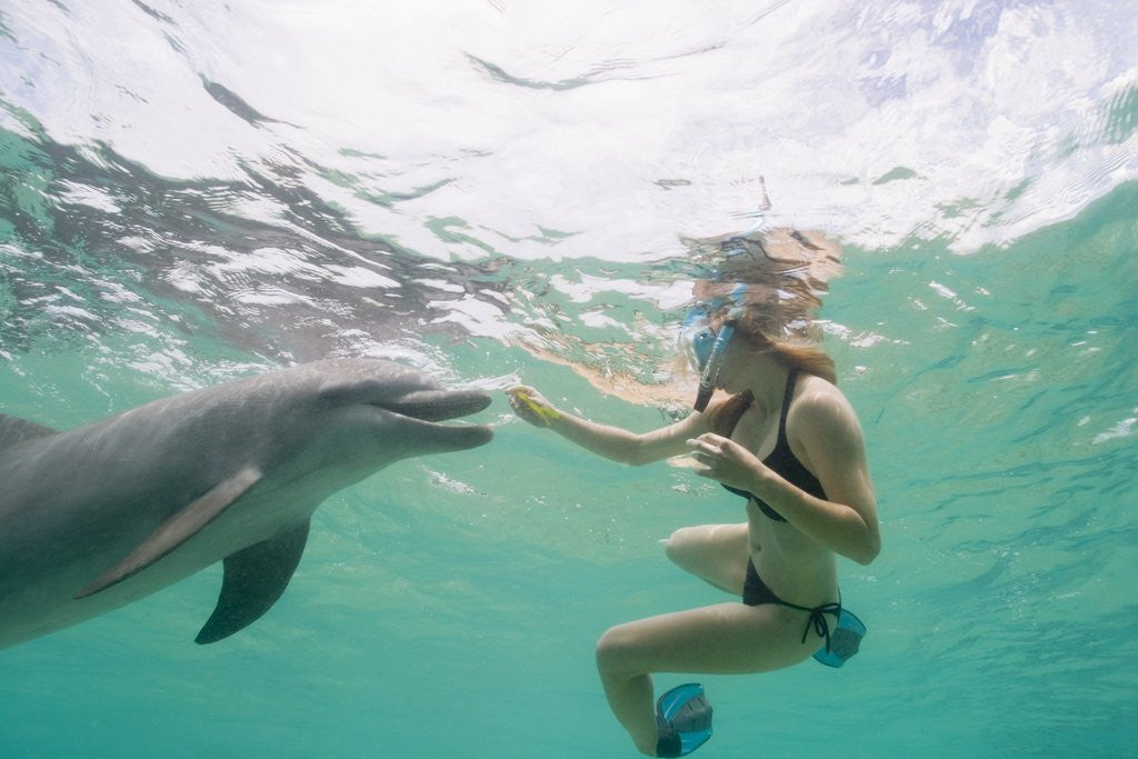 Detail of Woman With Bottlenose Dolphin by Corbis