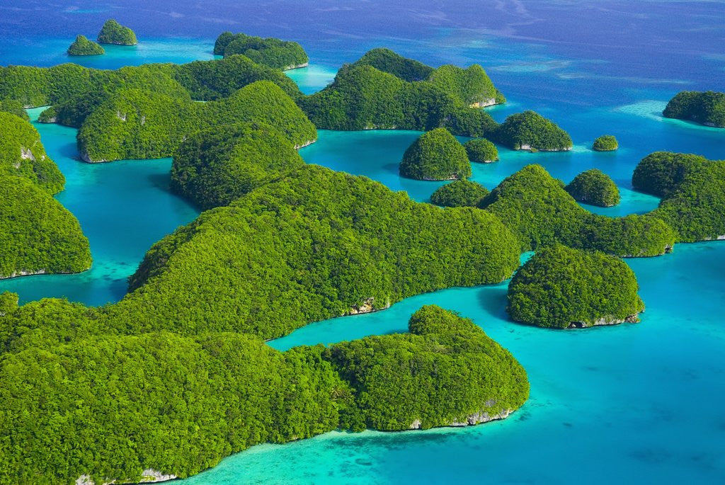 Detail of Rock Formations and Islets of the Rock Islands by Corbis