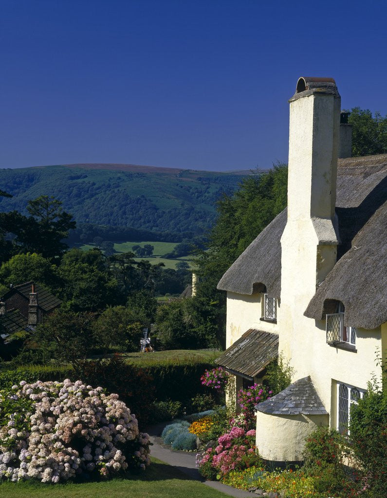 Detail of A Cottage at Selworthy Green by Corbis