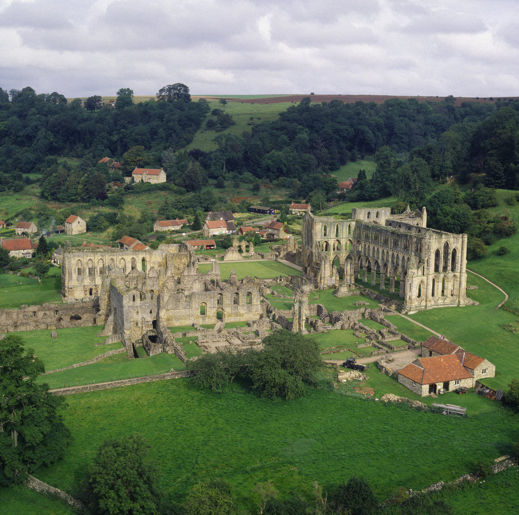 Detail of Rievaulx Abbey Ruins by Corbis