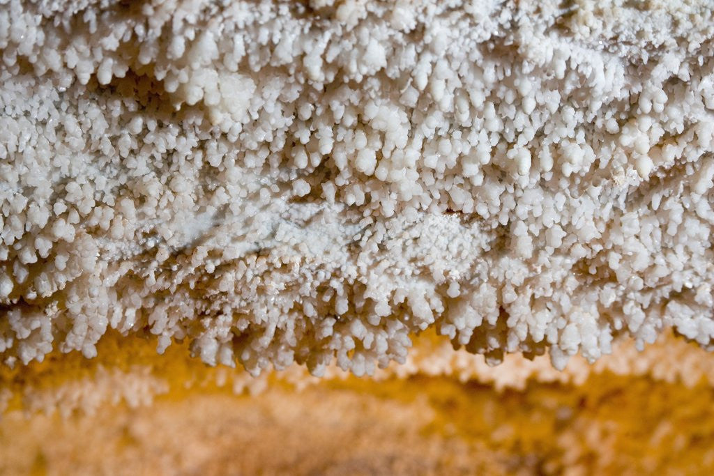 Detail of Popcorn Cave Formations by Corbis