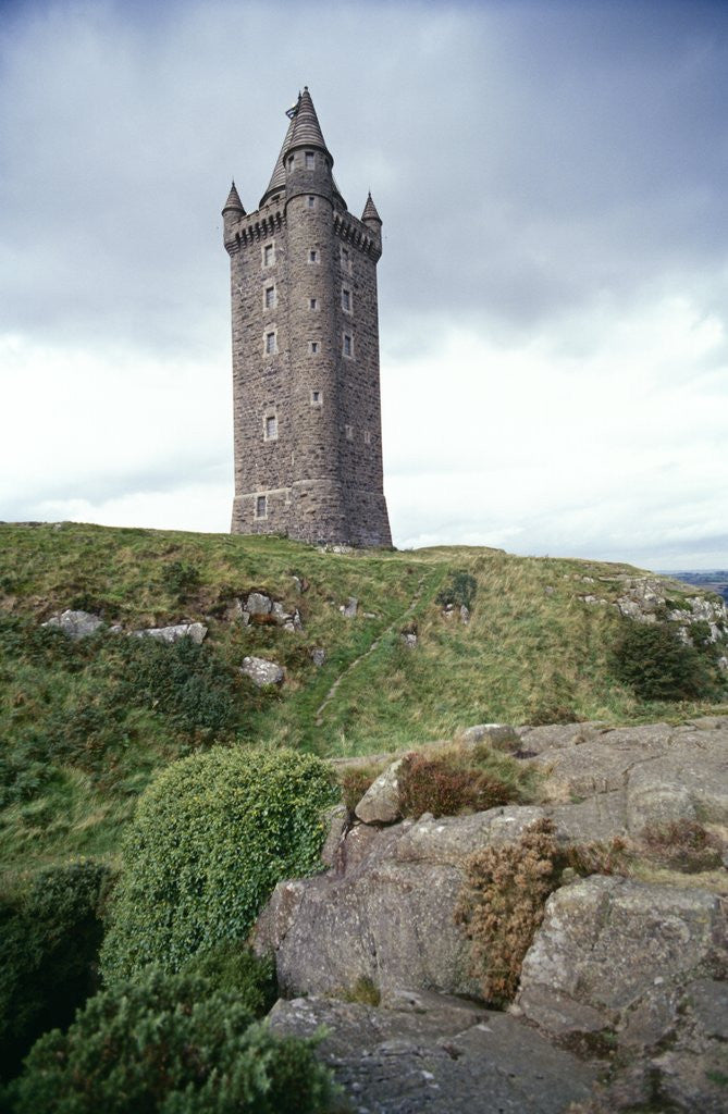 Detail of Scrabo Tower on Hill by Corbis