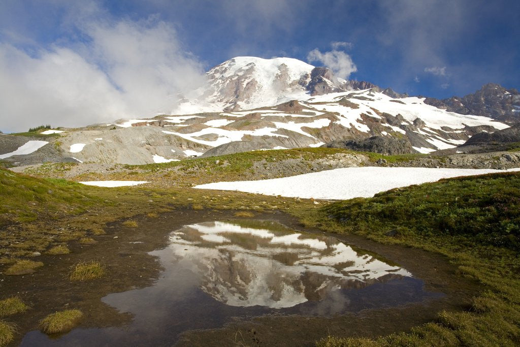 Detail of Mount Rainier Reflecting on Pond by Corbis