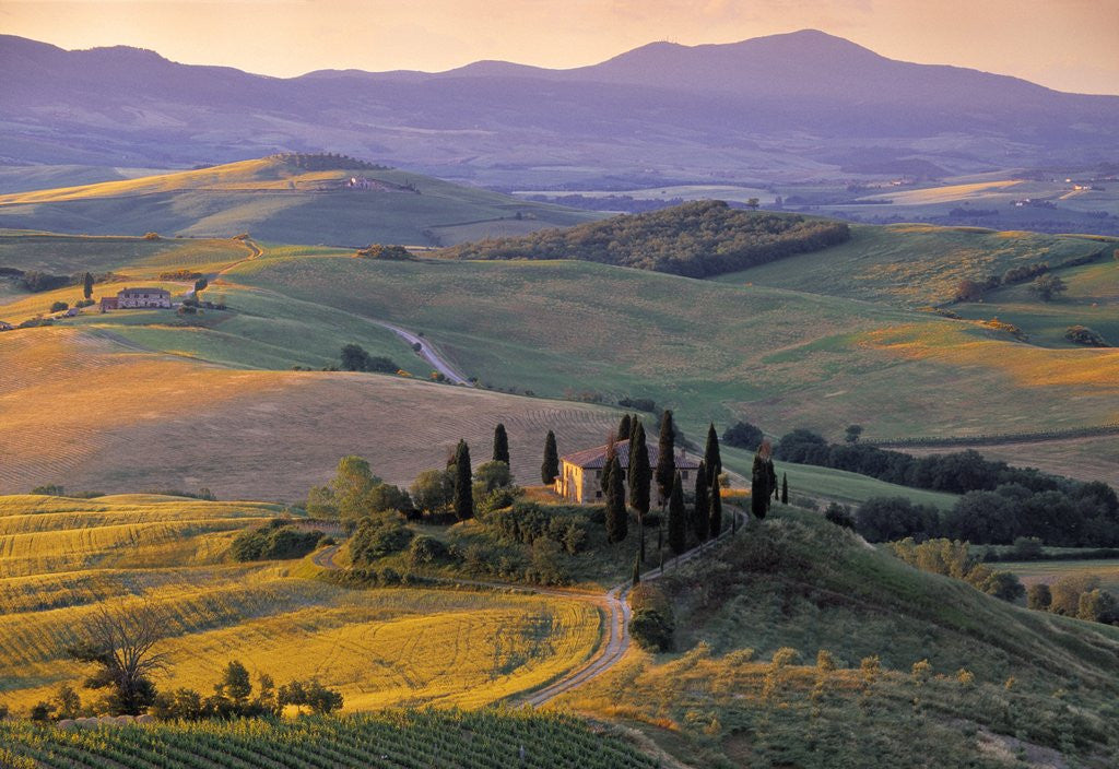 Detail of Val d'Orcia by Corbis