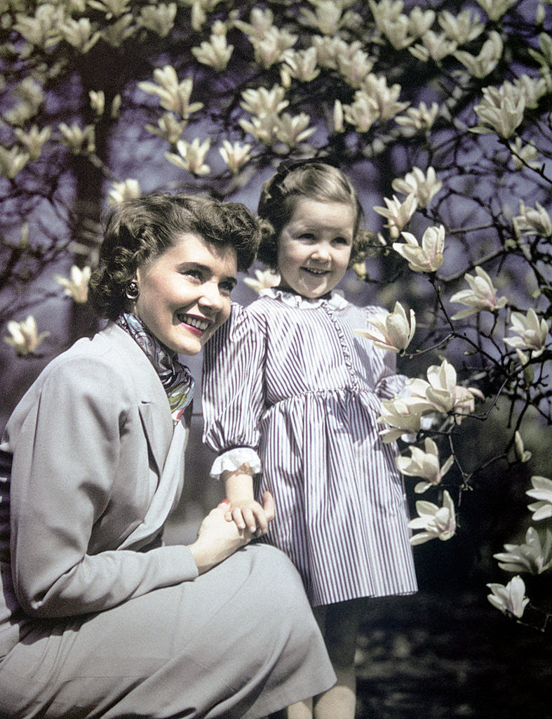 Detail of 1940s Woman Mother Girl Daughter By Magnolia Blossoms Tulip Tree by Corbis