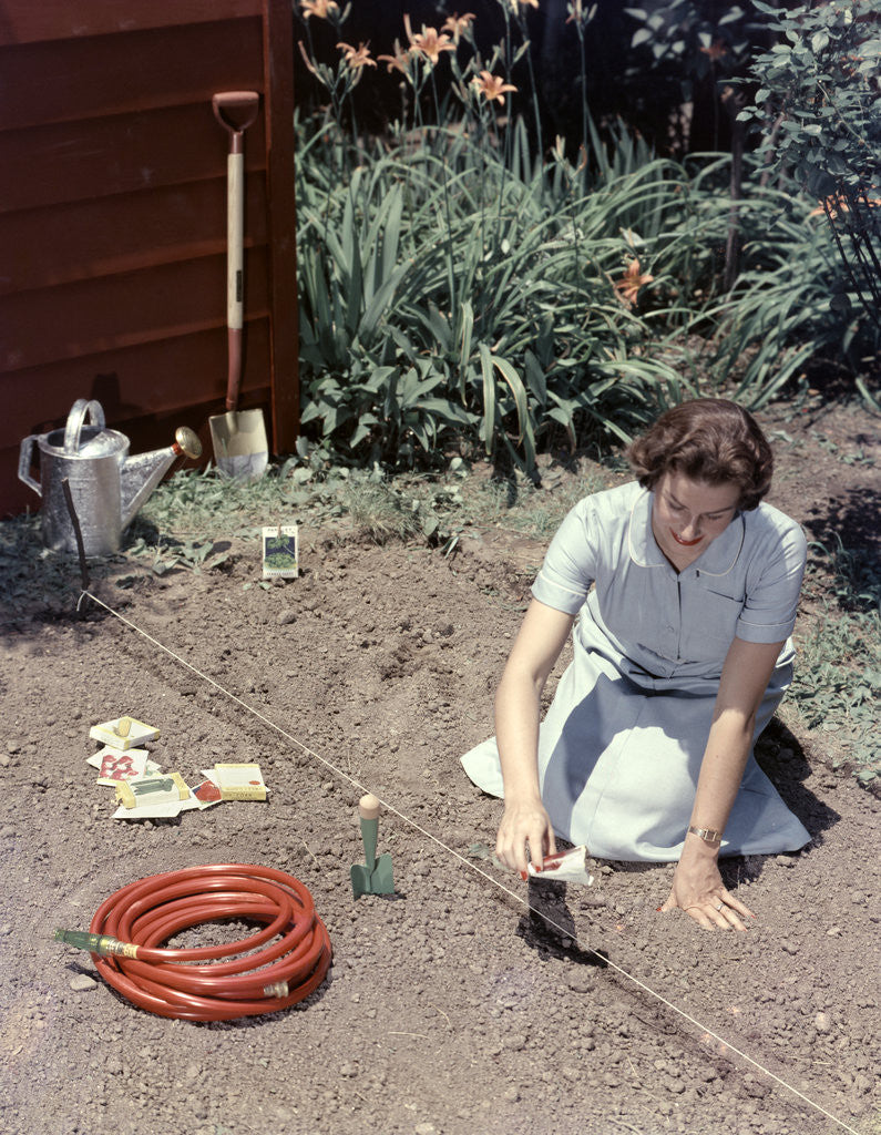 Detail of 1950s Woman Kneeling In Garden Planting Seeds In Soil by Corbis