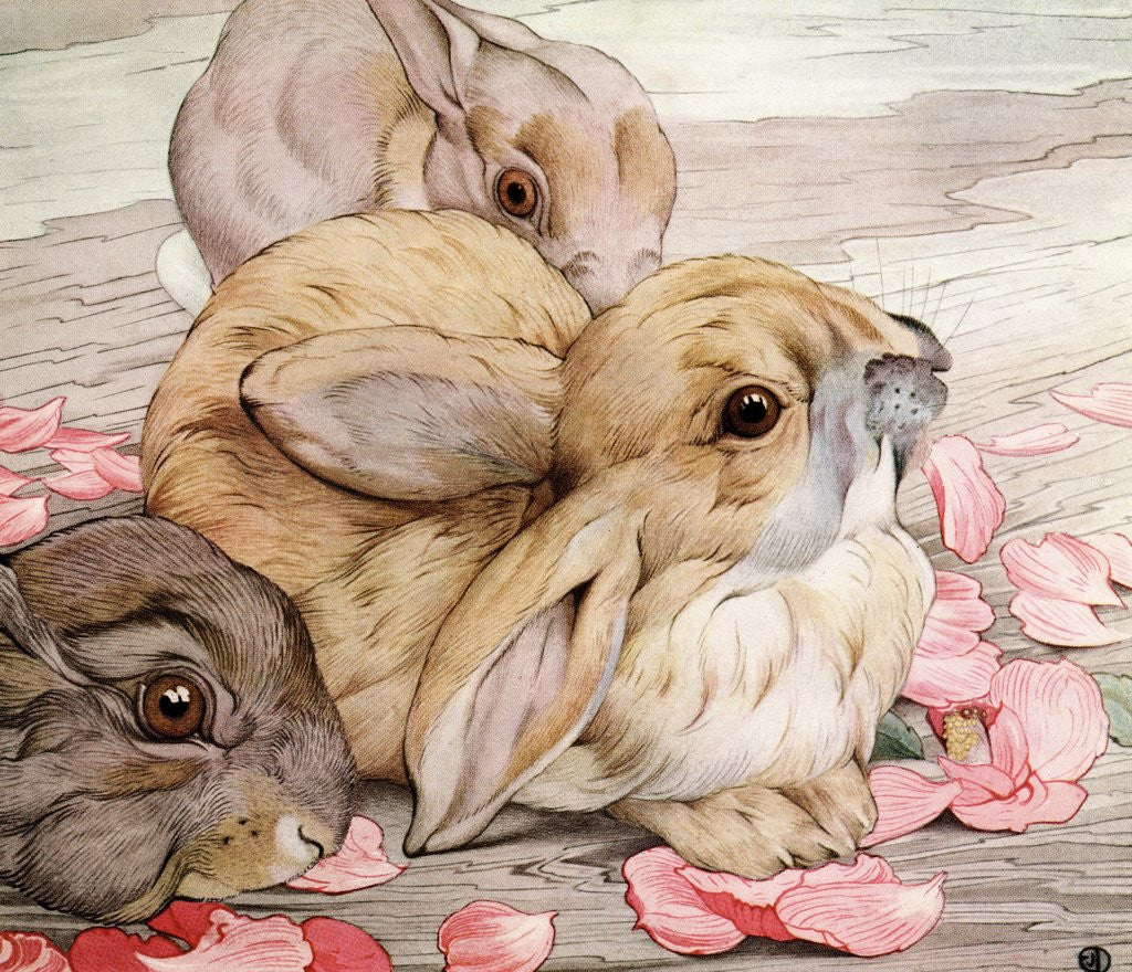 Detail of Illustration of Rabbits by Edward Julius Detmold