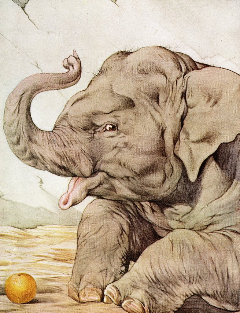 Detail of Illustration of Elephant by Edward Julius Detmold