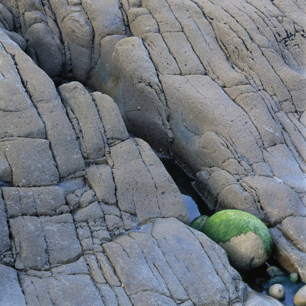 Detail of Water in a Fissure of a Stone Surface by Corbis