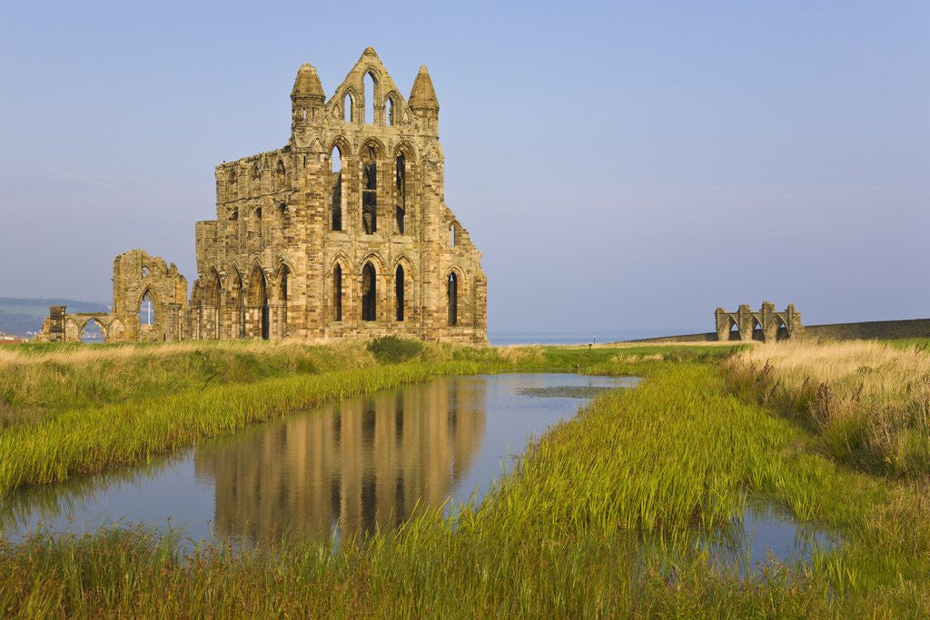 Detail of Ruins of Whitby Abbey in North Yorkshire by Corbis