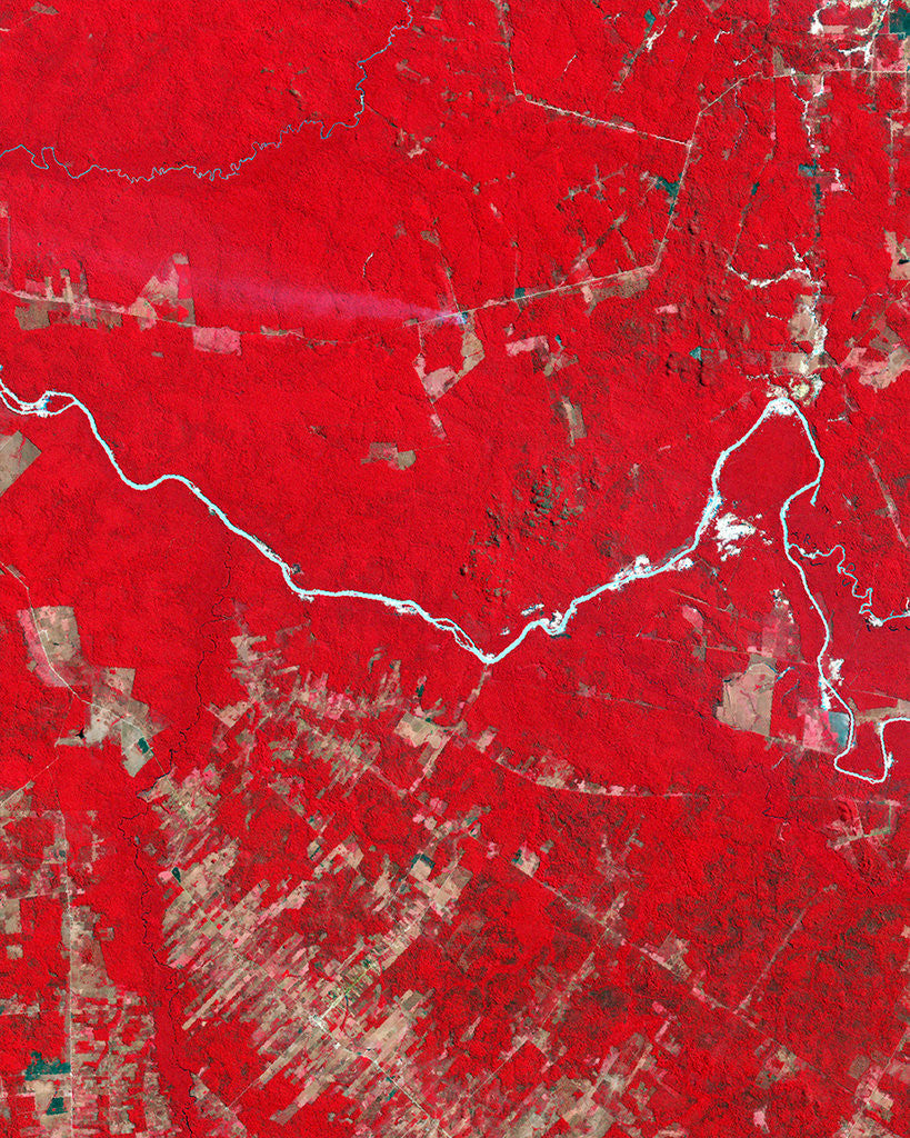 Detail of Deforestation in the Amazon Basin in Brazil by Corbis