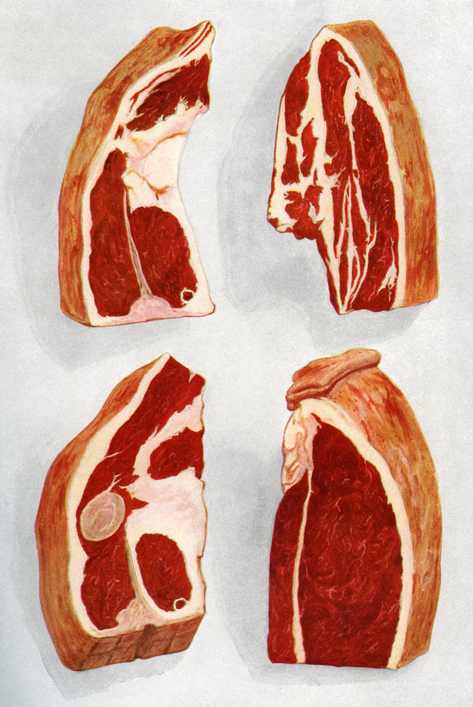 Detail of Illustration of four types of beef steaks by Corbis