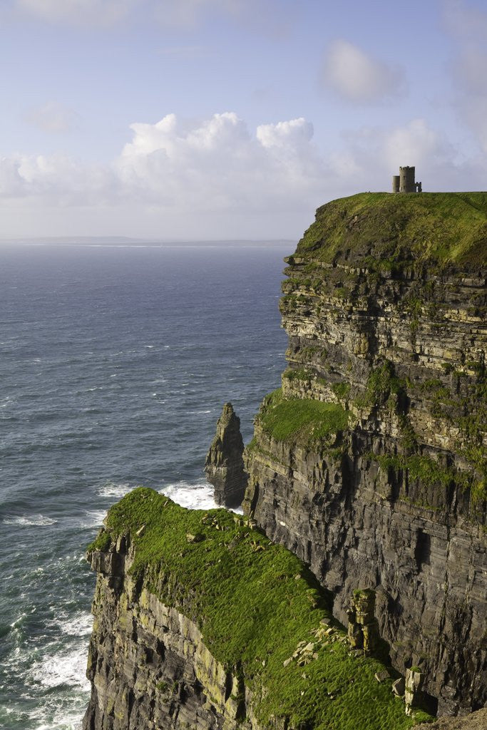 Detail of Cliffs of Moher by Corbis