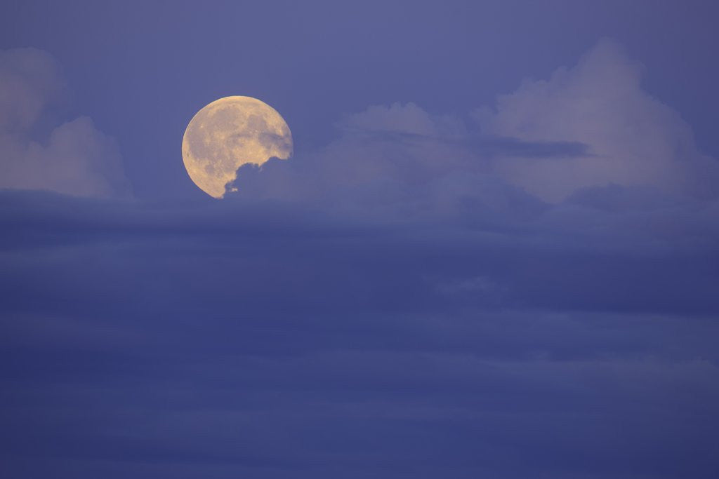 Detail of Rising Full Moon in Delta Junction by Corbis