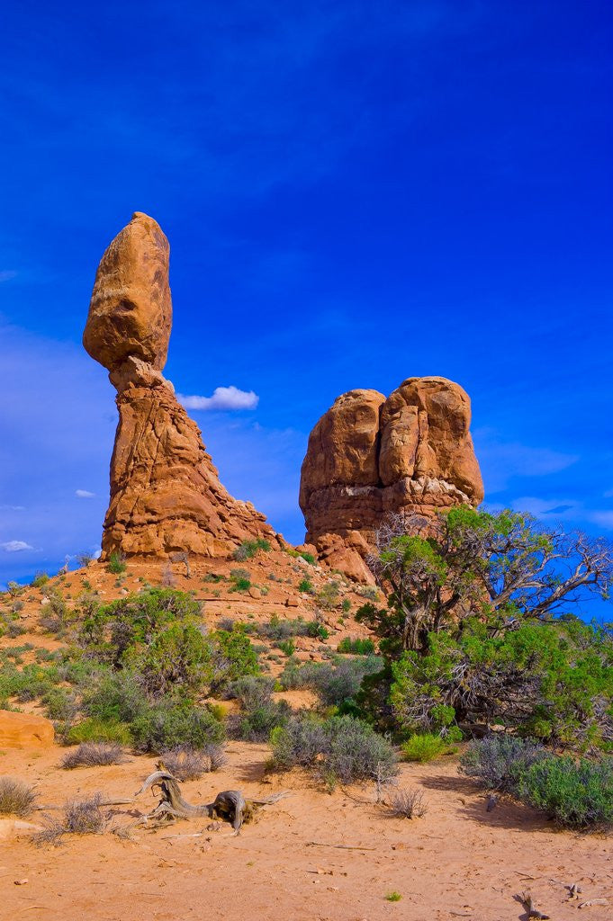 Detail of Balanced Rock by Corbis