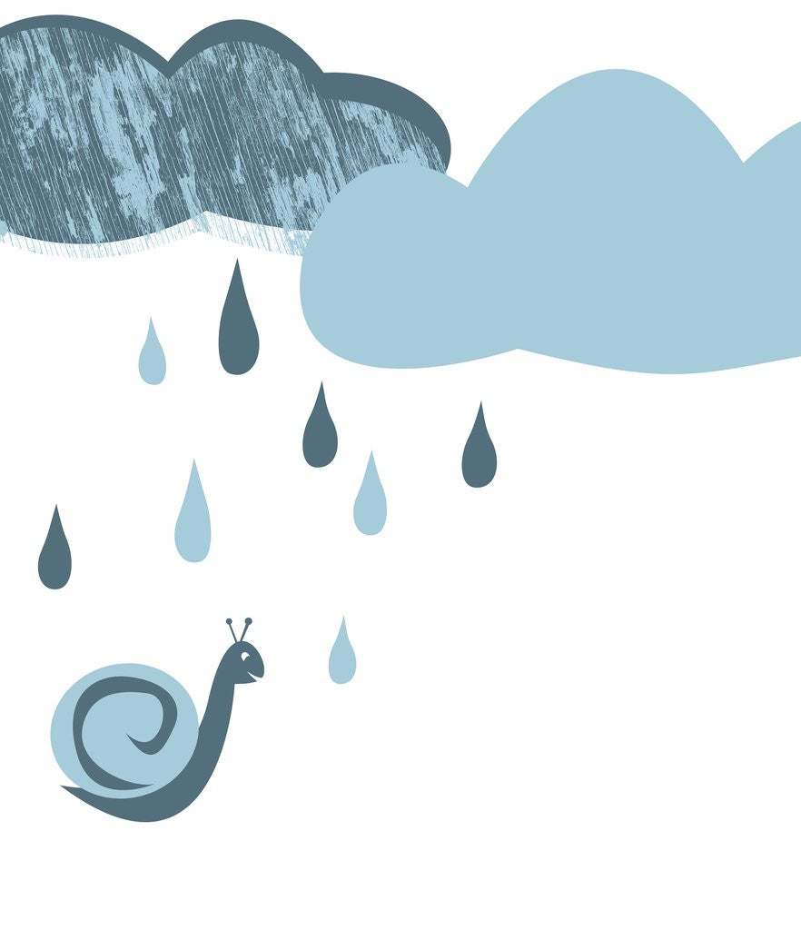 Detail of Snail being rained on by Corbis