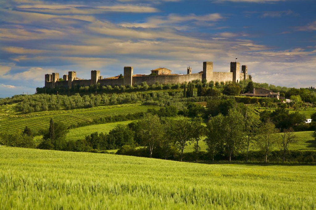 Detail of Walled Hillside Town of Monteriggioni, Italy in Spring Green by Corbis