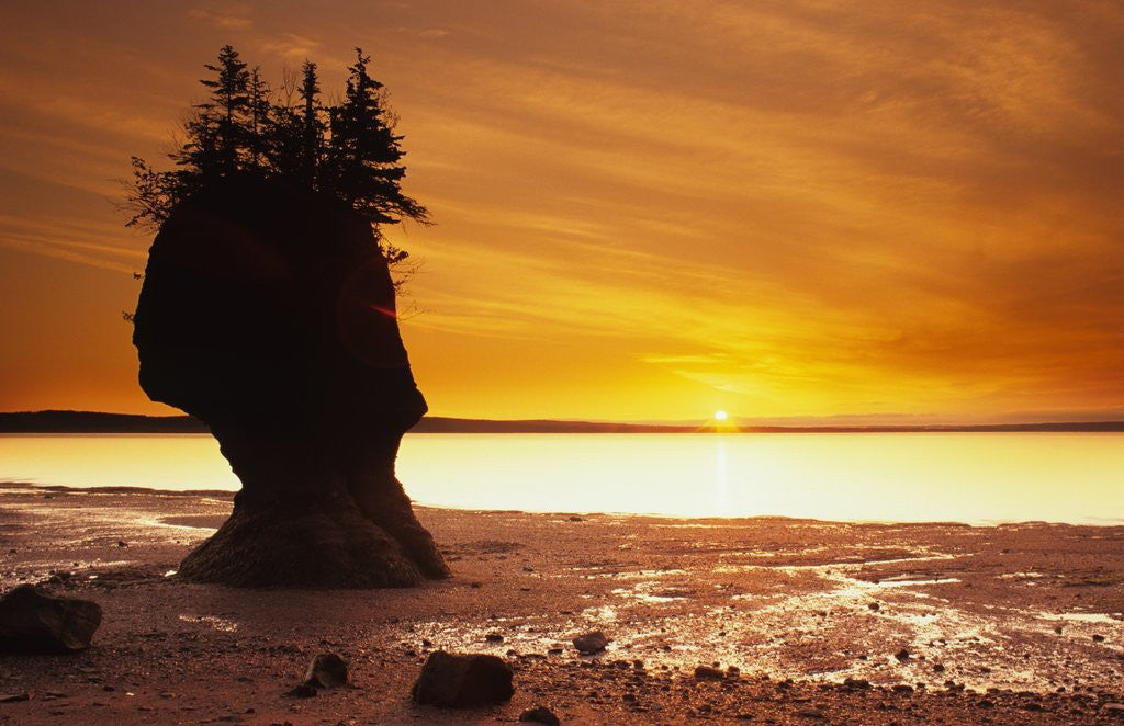 Detail of Hopewell Rocks, New Brunswick, Canada by Corbis