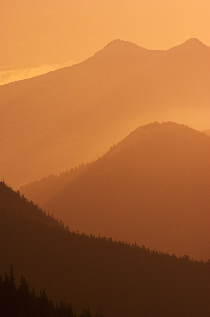 Detail of Canadian Rockies at Sunset, Banff National Park, Alberta, Canada. by Corbis