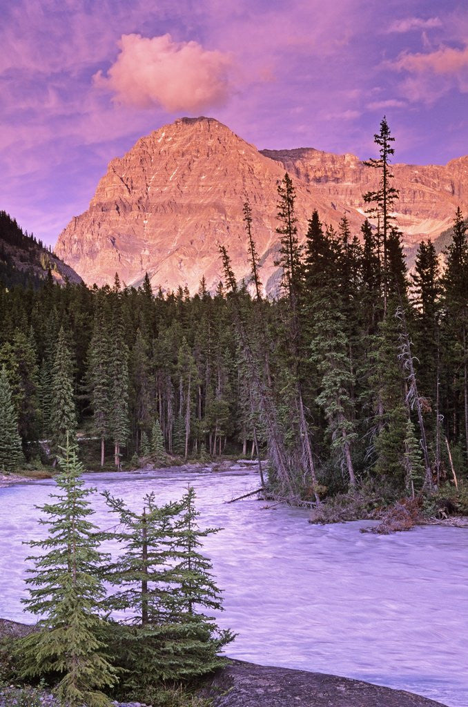 Detail of Mt. Stephen and the Kicking Horse River, Yoho National Park, British Columbia, Canada by Corbis